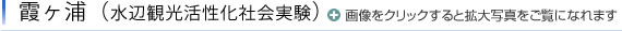 霞ヶ浦